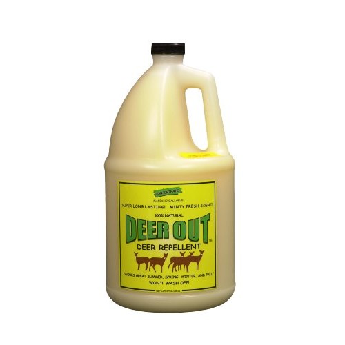 Deer Out Deer Repellent 1 Gallon Concentrate Makes 10 Gallons