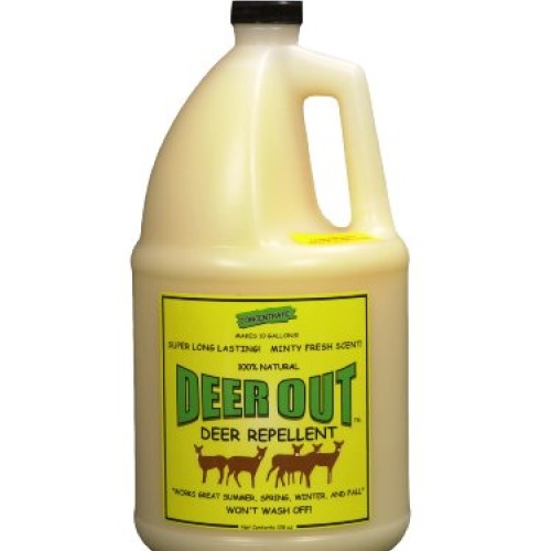 Deer Out Deer Repellent 1 Gallon Concentrate Makes 10 Gallons