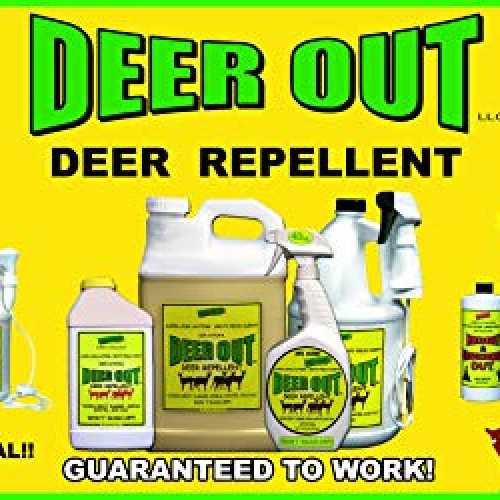 Deer Out Deer Repellent 1 Gallon Concentrate Makes 10 Gallons