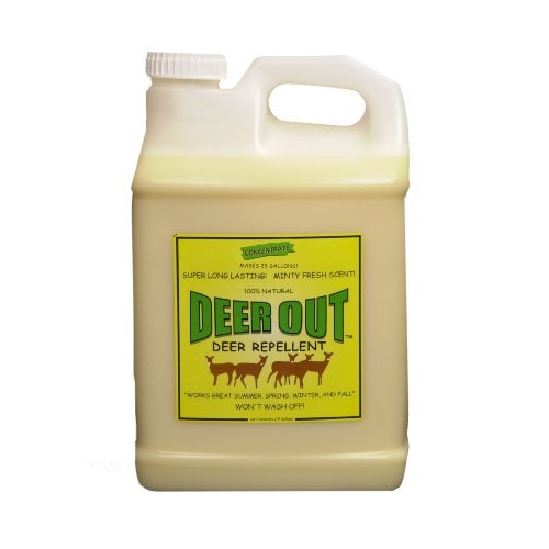 Deer Out Deer Repellent Deer Repellent 2 1/2 Gallon Concentrate