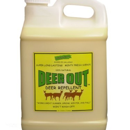 Deer Out Deer Repellent Deer Repellent 2 1/2 Gallon Concentrate