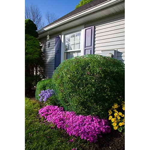 Deer-Terrent Plant Netting Cover- Size 6 X 6 for Shrubs Up to 2....