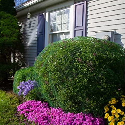 Deer-Terrent Plant Netting Cover- Size 6 X 6 for Shrubs Up to 2....