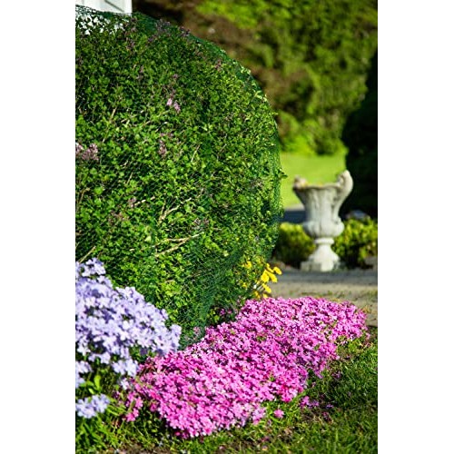 Deer-Terrent Plant Netting Cover- Size 6 X 6 for Shrubs Up to 2....