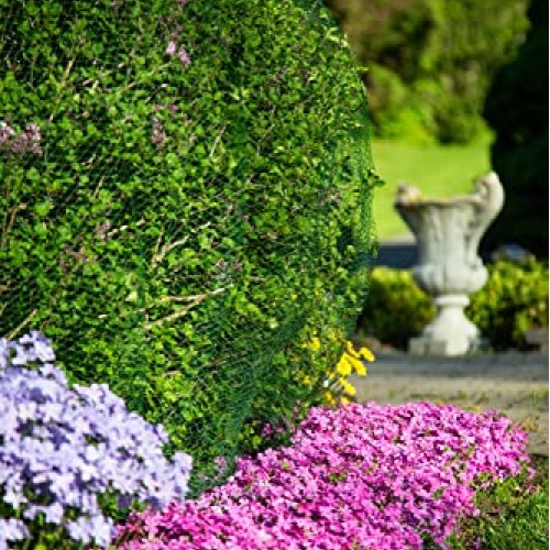 Deer-Terrent Plant Netting Cover- Size 6 X 6 for Shrubs Up to 2....