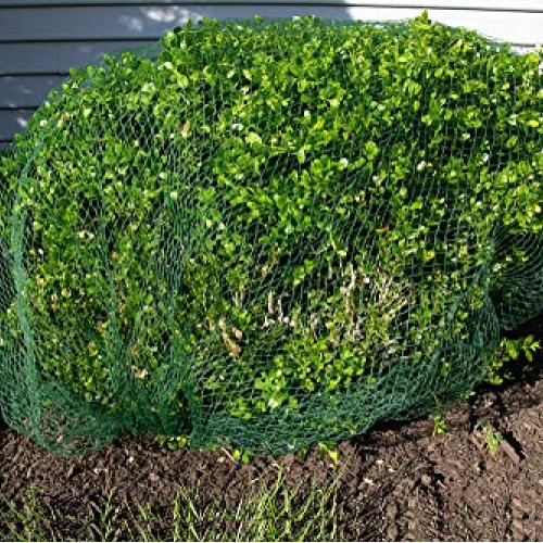 Deer-Terrent Plant Netting Cover- Size 6 X 6 for Shrubs Up to 2....