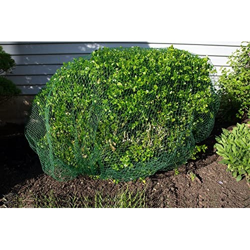 Deer-Terrent Plant Netting Cover- Size 6 X 6 for Shrubs Up to 2....