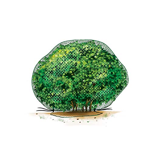 Deer-Terrent Plant Netting Cover- Size 6 X 6 for Shrubs Up to 2....