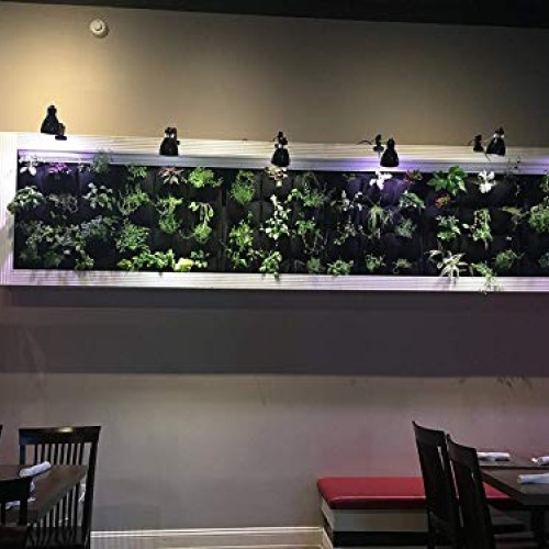 12 Pocket Indoor Waterproof Vertical Living Wall Planter