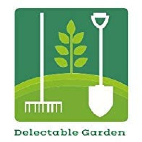 12 Pocket Indoor Waterproof Vertical Living Wall Planter