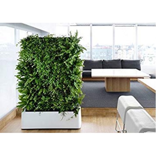 12 Pocket Indoor Waterproof Vertical Living Wall Planter