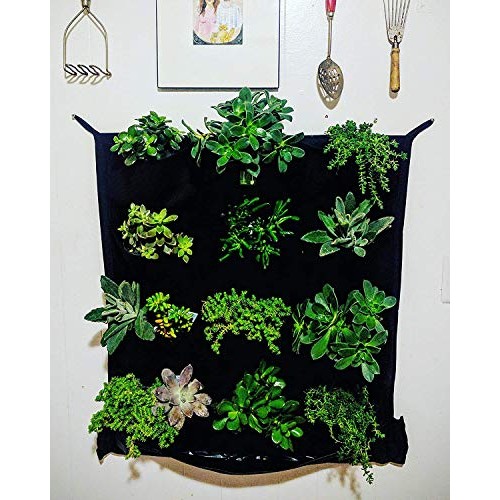12 Pocket Indoor Waterproof Vertical Living Wall Planter