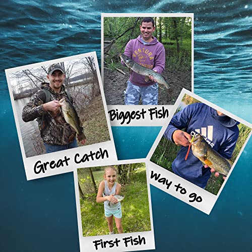 Delong Lures 6 Weedless Fishing Lures, pre-Rigged Worm Lures for ...