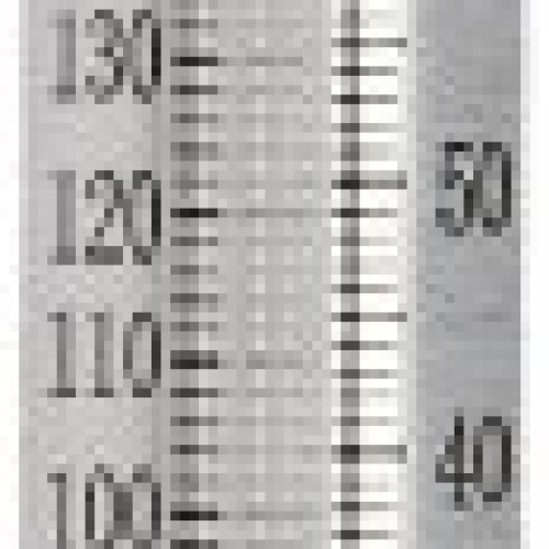 Delta Education V-Back Metal Thermometers, Fahrenheit/Celcius Dual...