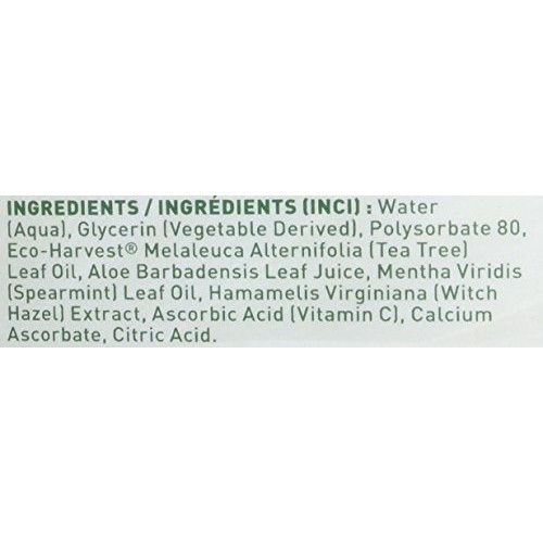 Desert Essence Tea Tree Oil Mouthwash - 16 Fl Oz - Pack of 2 - Nat...