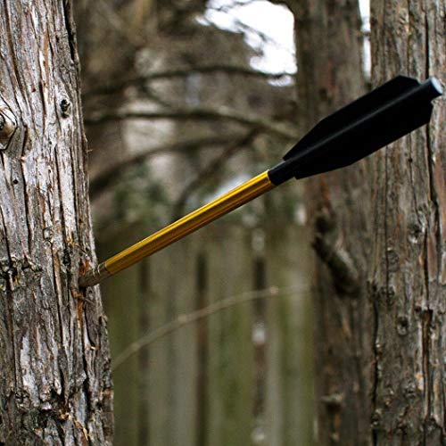 Destinie Mini 80 LB SELF Cocking Pistol Crossbow + RED DOT Sco...