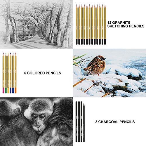 Deviazi 40-Piece Set Artist Drawing Pencils Sketching Set. Inclu...