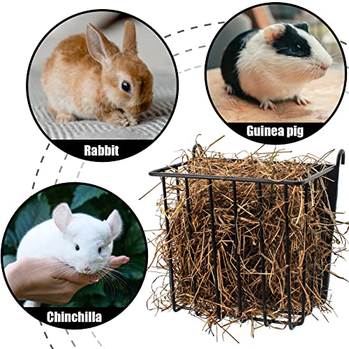 2PCS Rabbit Hay Feeder，Guinea Pig Hay Feeder with Heavy-Duty Meta...
