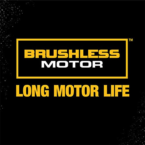 DEWALT 20V MAX XR Oscillating Multi-Tool Kit, Variable Speed DCS3...