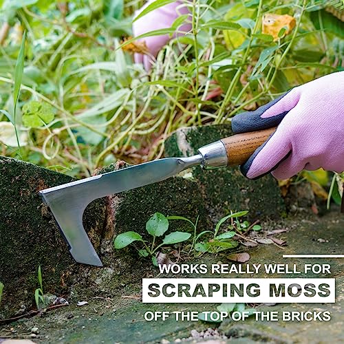 Dewayna Crack Weeder, L-Shaped Stainless Steel Crevice Weeding Too...