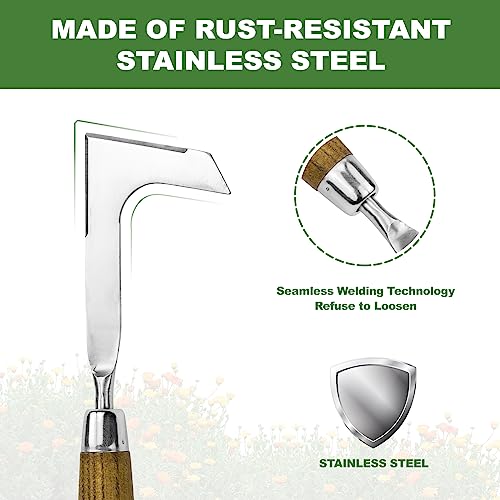 Dewayna Crack Weeder, L-Shaped Stainless Steel Crevice Weeding Too...