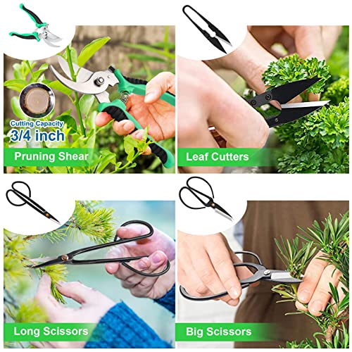 Bonsai Tools Kit- 24 PCS Bonsai Tree Kit Tools for Beginners, Bons...