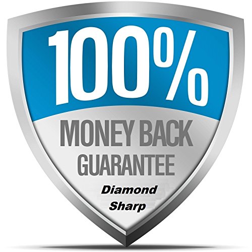 Diamond Sharp 3 X 8 inch Two 2-Sided Ultra Sharp, Continuous Sharp...