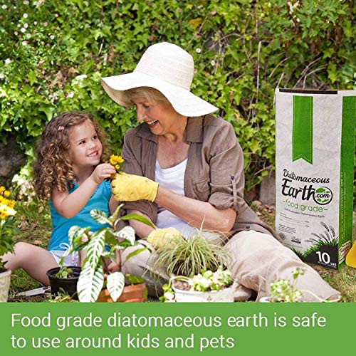 DiatomaceousEarth DE10, 100% Organic Food Grade Diamateous Earth P...
