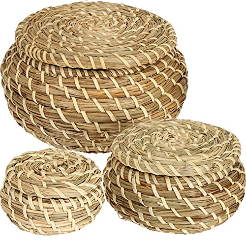 Dicunoy Set of 3 Small Wicker Basket with Lid, Round Woven Seagras...