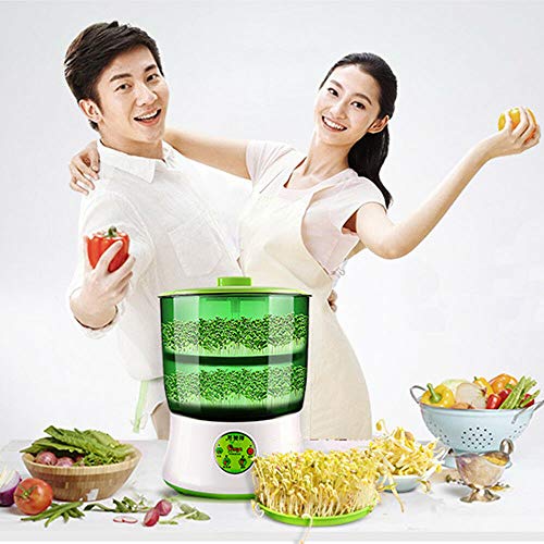 DENESTUS Fully Automatic Bean Sprouts Machine Double Layers Smart ...