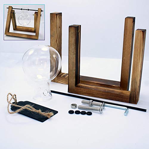 Desktop Planter Glass Bulb Vase Plant Terrarium with Retro Solid W...
