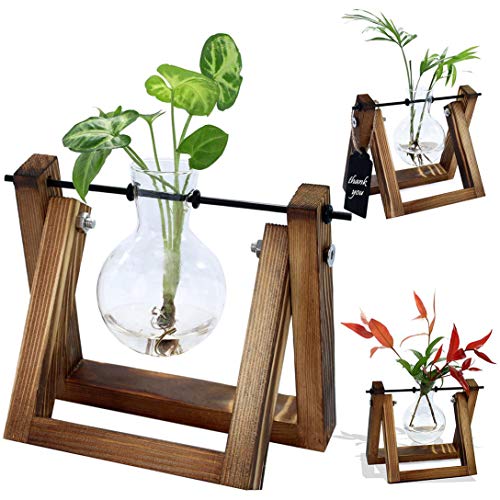 Desktop Planter Glass Bulb Vase Plant Terrarium with Retro Solid W...