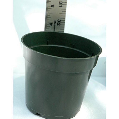 Plastic Pots for Plants, Cuttings, Seedlings 4 Inch Standard Size ...