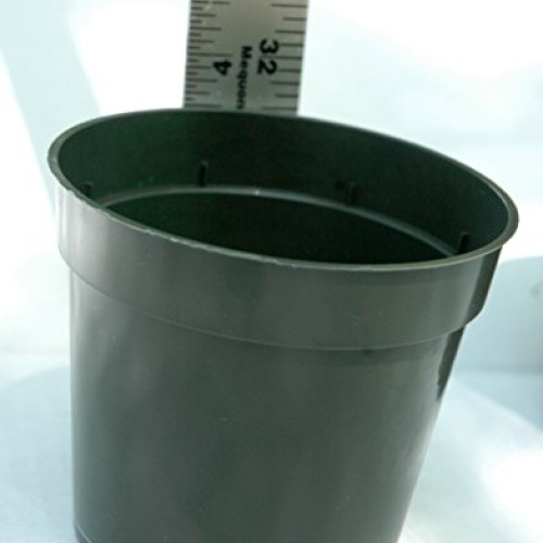 Plastic Pots for Plants, Cuttings, Seedlings 4 Inch Standard Size ...