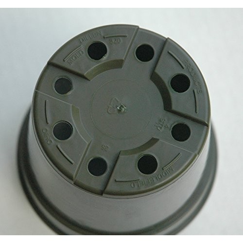 Plastic Pots for Plants, Cuttings, Seedlings 4 Inch Standard Size ...
