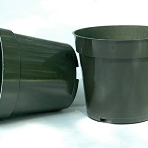 Plastic Pots for Plants, Cuttings, Seedlings 4 Inch Standard Size ...