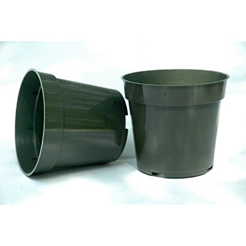 Plastic Pots for Plants, Cuttings, Seedlings 4 Inch Standard Size ...