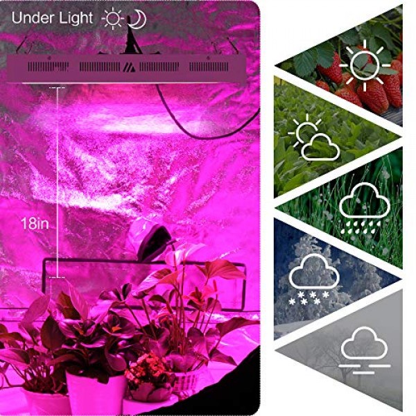 Dimgogo 2000w LED Grow Light Full Spectrum for Indoor Plants Veg a...