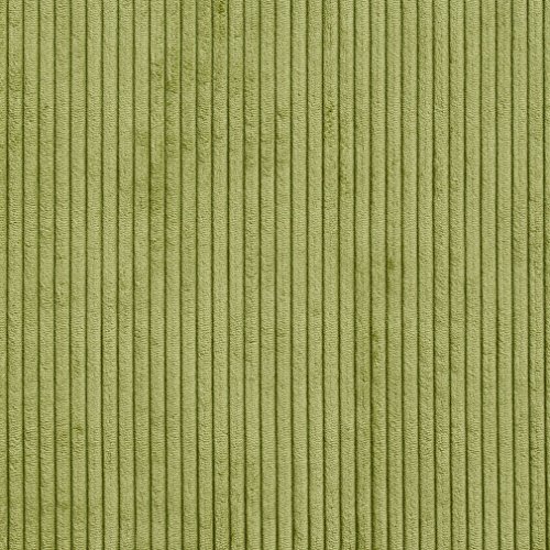 B0700A Green Corduroy Striped Soft Velvet Upholstery Fabric by The...