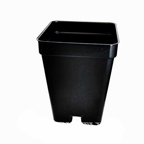 36 Qty 2.5 Inch Square x 3.5 Deep Press Fit Pots for geraniums str...