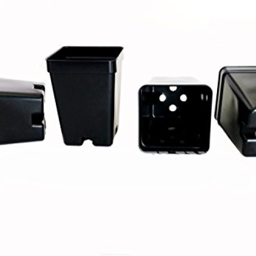 36 Qty 2.5 Inch Square x 3.5 Deep Press Fit Pots for geraniums str...