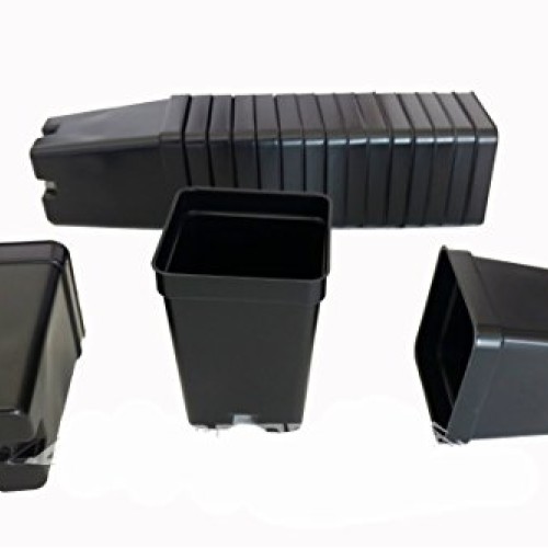 36 Qty 2.5 Inch Square x 3.5 Deep Press Fit Pots for geraniums str...
