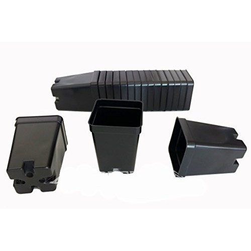 36 Qty 2.5 Inch Square x 3.5 Deep Press Fit Pots for geraniums str...