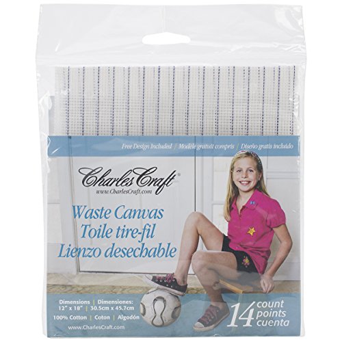 DMC Waste Canvas 14ct 12in x 18in