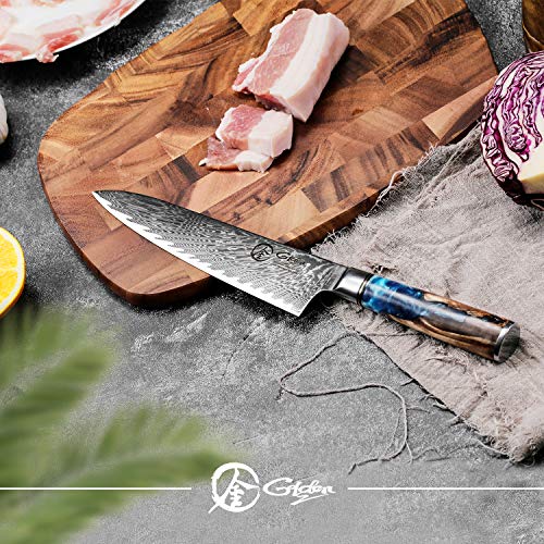 Dnifo Professional Sharp Kitchen Chef Knife 8 Inch, Damascus Steel...