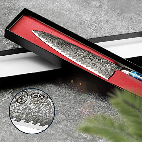 Dnifo Professional Sharp Kitchen Chef Knife 8 Inch, Damascus Steel...