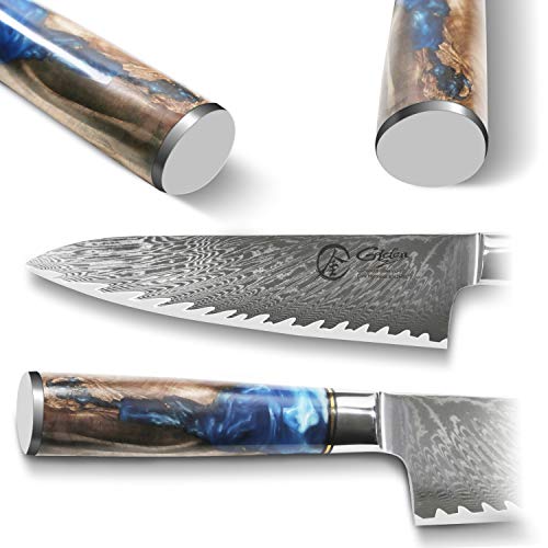 Dnifo Professional Sharp Kitchen Chef Knife 8 Inch, Damascus Steel...
