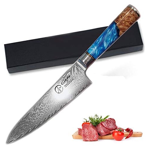 Dnifo Professional Sharp Kitchen Chef Knife 8 Inch, Damascus Steel...