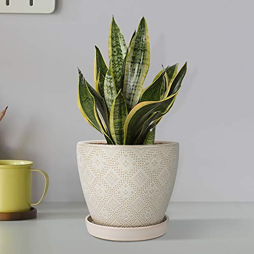 Docrin Flower Pots Plants Containers - 6.6 and 5.5 Inch Planter Po...