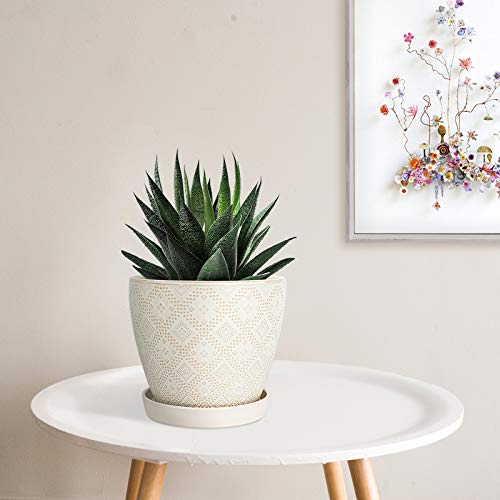 Docrin Flower Pots Plants Containers - 6.6 and 5.5 Inch Planter Po...